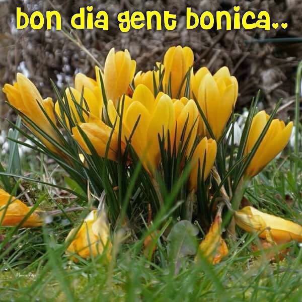 Jose Gea على تويتر Que No Las Dit Bon Dia Bon Dia Ana Que Tu Si Tel Mereixes Https T Co Fb7czbbui9