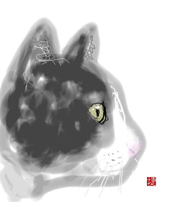 猫の横顔のtwitterイラスト検索結果 猫の横顔のtwitterイラスト検索結果