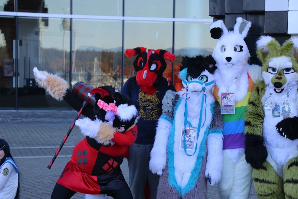 Harley_Doggo's tweet photo. Wowie what a fun day saturday was. I loved making people happy with my "crossover" Harley Quinn. Haha! 
Thanks for the good times! 

#maxwolfevents #furry #fxv2018 https://t.co/QbZi0WHrAN