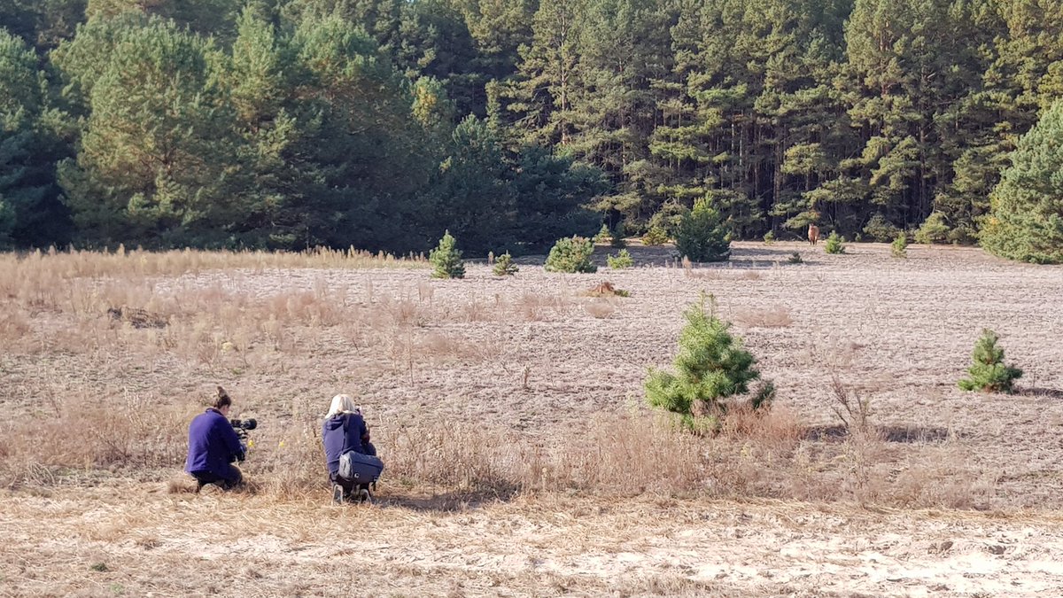 ProfMikeWood's tweet photo. First #Chernobyl wildlife encounter for @Vic_Gill &amp; @jemmacox as the @BBCNews team learn about our @NERCscience. For more on the science, see https://t.co/iKosLO4603 &amp;  https://t.co/y4y7zYGpRb. @radioecology @ProfJimTSmith @EERCSalford @RATEsct @SalfordImpact @CEHScienceNews https://t.co/WyfRYgHIbk