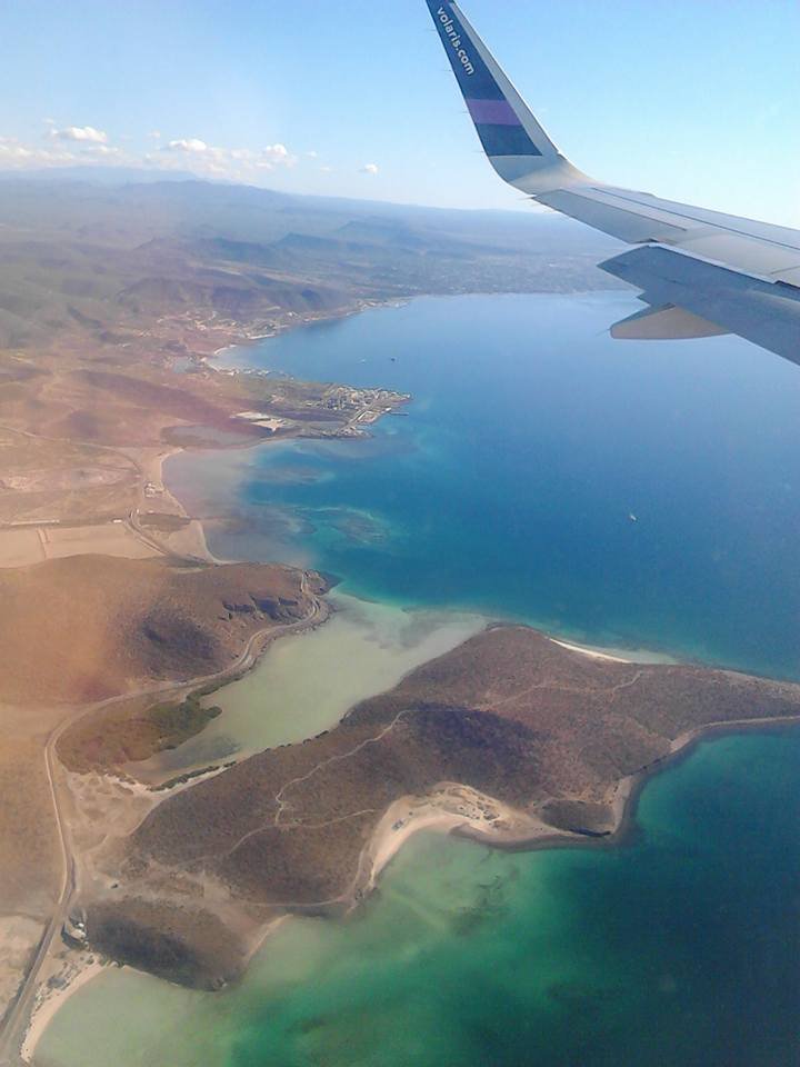 Baja Air tweet media