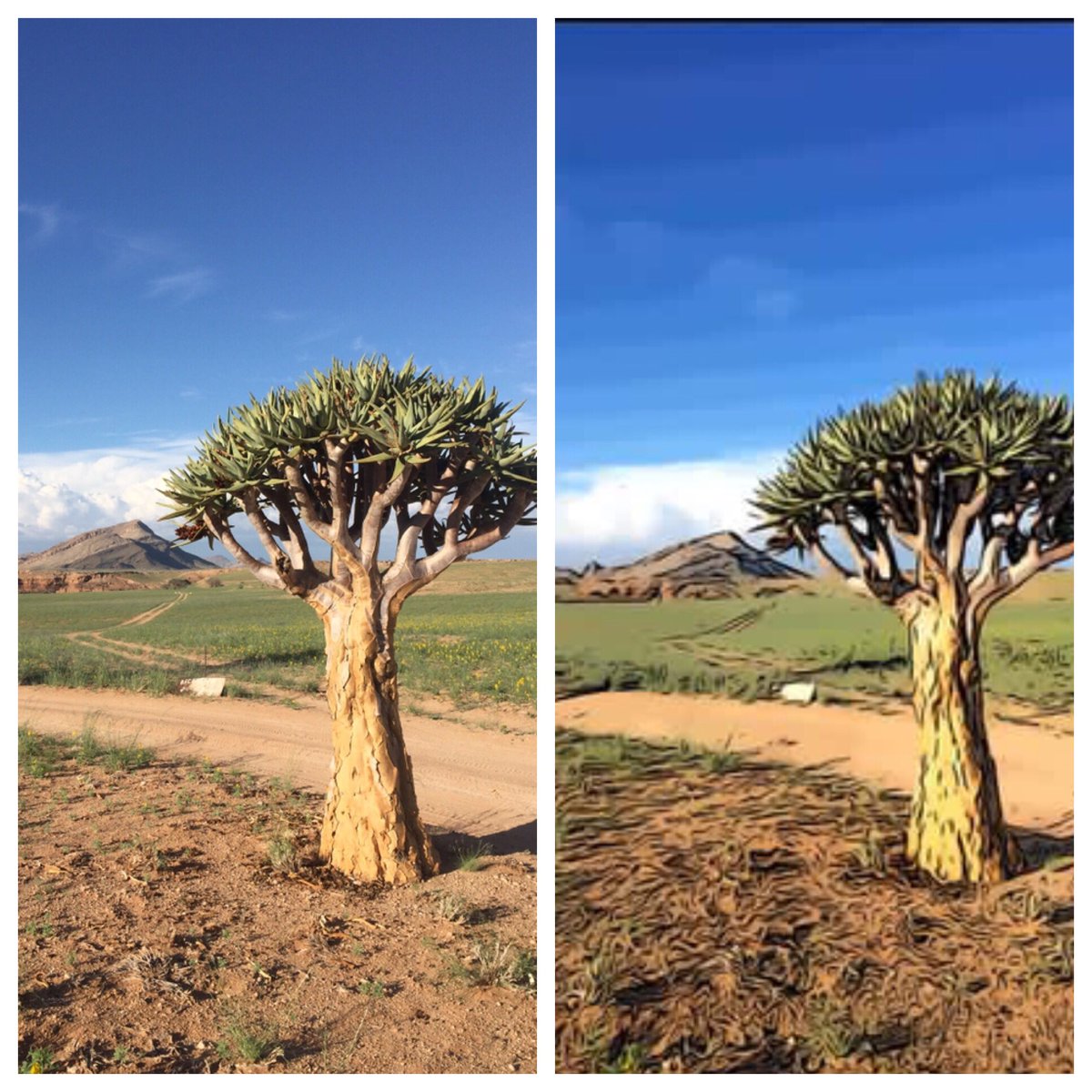 Georgiareilly24's tweet photo. Enjoyed using CLIP2COMIC to animate photos for our Rhino level in the game SAVE. This is a pic I took in Africa we used #COMM140  #aceedu_p https://t.co/RcPgzLwQmZ