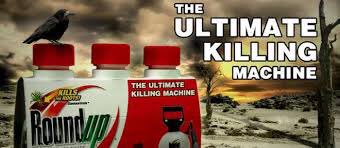 8extremes's tweet photo. Glyphosate KILLS weeds
& EcoSystem by interfering w ShikimatePathway & EPSP enzyme that governs AminoAcid Formation
#glyphosate Disrupts #ShikimatePathway Harming you too
#monsantoKNEW #monsantoPapers #abtTHAT #DumpTheJunk
https://t.co/AfFCPxZbIC https://t.co/rnlsIueLP2