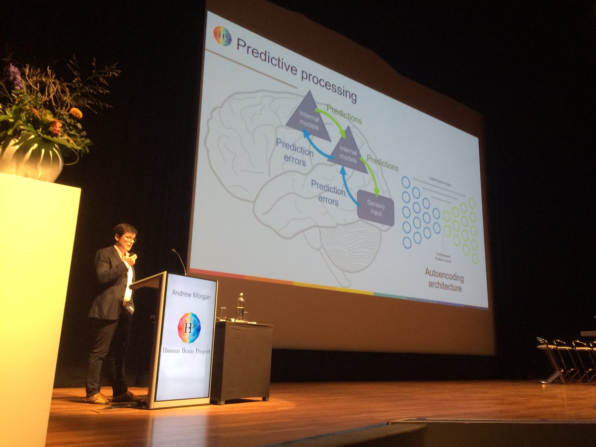 LarsMuckli's tweet image. Andrew Morgan representing the @LarsMuckli lab on centre stage at @HumanBrainProj giving a panel talk on #PredictiveProcessing at #HBPsummit2018 in #Maastricht - Well done!