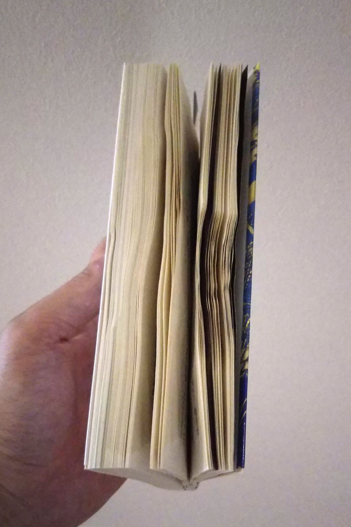 コーギー オータ 寝読部部長 ヾ 3 読了 92 が続編を希望したという作品の待望の続編 猟奇殺人が主軸だった前作とは異なり 本作は本丸である怪物の正体解明がメイン エロはさらに薄味に グロは種類を変えて健在 雨に濡れてしまったため