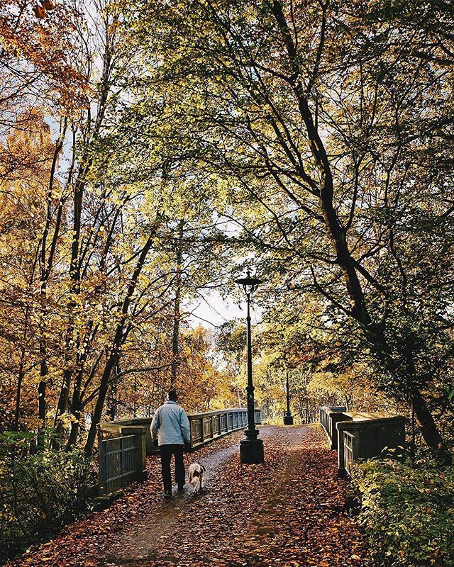 GoVisitDenmark's tweet photo. One of our favourite autumn activities is simply to stroll around in various parks and forests while enjoying the autumn foliage 🍂 🚶‍♂️🍁
.
Thanks for letting us share your #Odense moment visitodense 🙏
.
#visitdenmark #denmark #autumn #autumnfoliage #autumncolours #parks #outdoor https://t.co/sW4pJmgFBX
