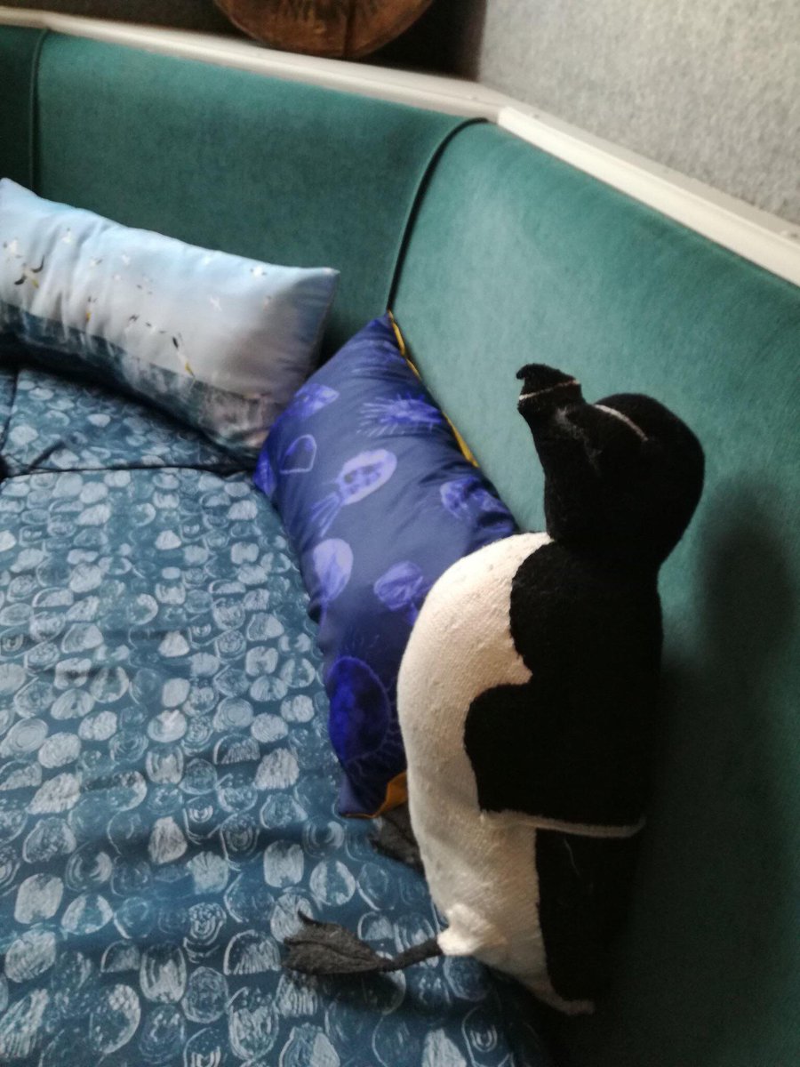 cft_scot's tweet image. The Boat Bus is in #Campbeltown today! Come down to the Aqualibrium (@LiveArgyll) &amp;amp; have a chat with us about the #CastingTheNet project, the other work that the CFT is involved in or the possibility of a career in fishing! #fishingcommunities #coastalcommunities