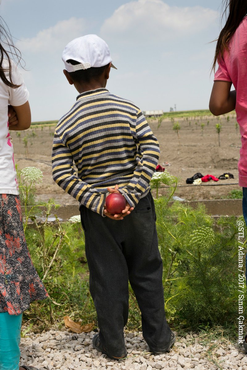 Soframıza koyduğumuz sebze ve meyveler için Türkiye'de 500 binden fazla çocuk, sabahın ilk ışığında çadırdan çıkıp çalışmaya gittiği tarlada gün boyunca ter döküyor. #DünyaGıdaGünü, #BuİşÇocukOyuncağıDeğil demek için iyi bir gün ➡ hayatadestek.org/bagis 🍏🥕🍅🍆🍐🍊🍋🌶🍉🥔🌽🍒