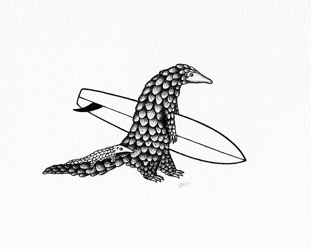 PangolinSaver's tweet photo. Thanks @jonas_draws for this brilliant drawing of a #pangolin surfer and her pup 🏄🏽‍♀️💕 https://t.co/Z95TK86DlK