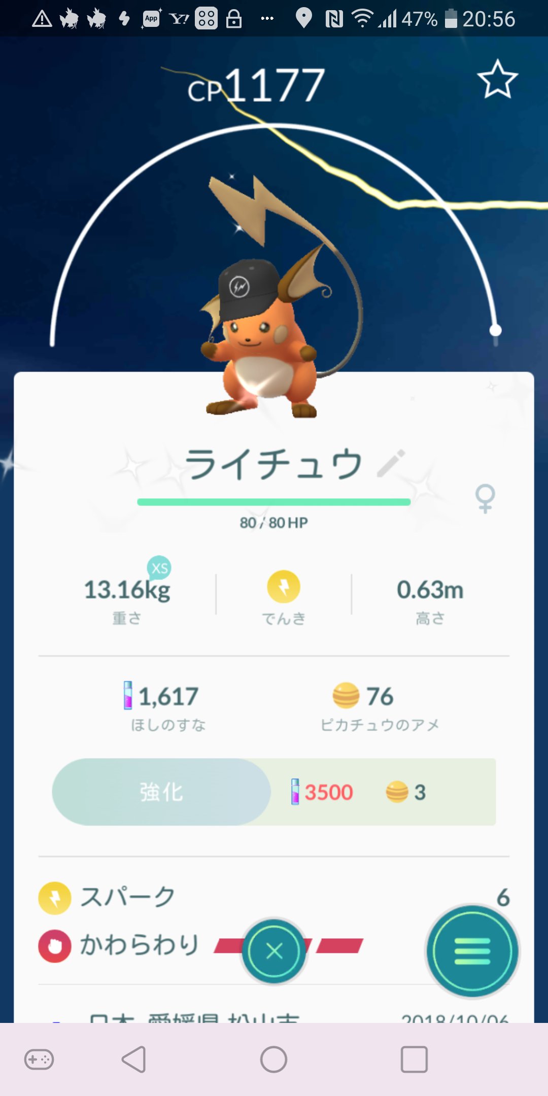 色違いライチュウ Twitter Search Twitter