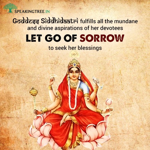 speakingtree's tweet photo. Goddess Siddhidatri, the ninth form of Goddess Durga, is worshiped on the ninth day or the Mahanavami. She is the giver of all siddhis (perfection) and ready to bestow happiness on her followers.

#Navratri 
#NavratriwithST https://t.co/T3yRYpEovQ