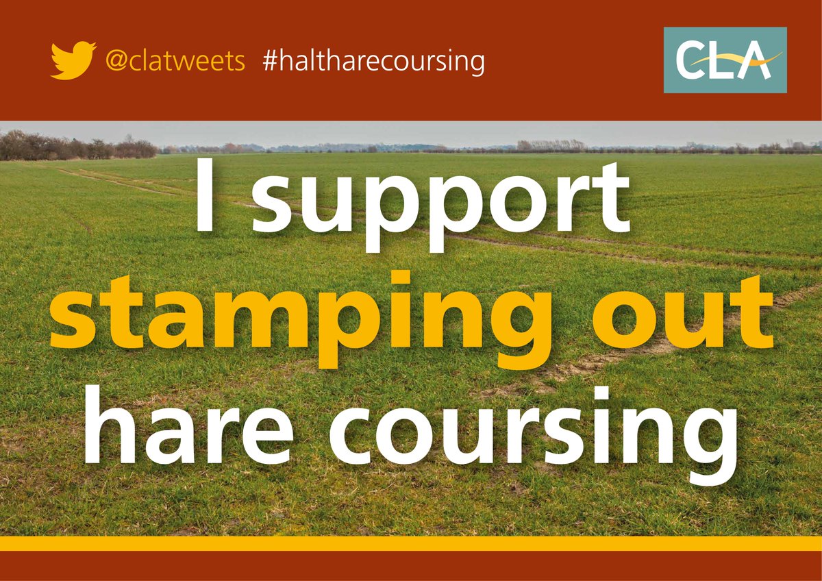 If you support our campaign message and want to see an end to #HareCoursing share this Tweet using the hashtag #HALTHARECOURSING. Spread the message and show your support!