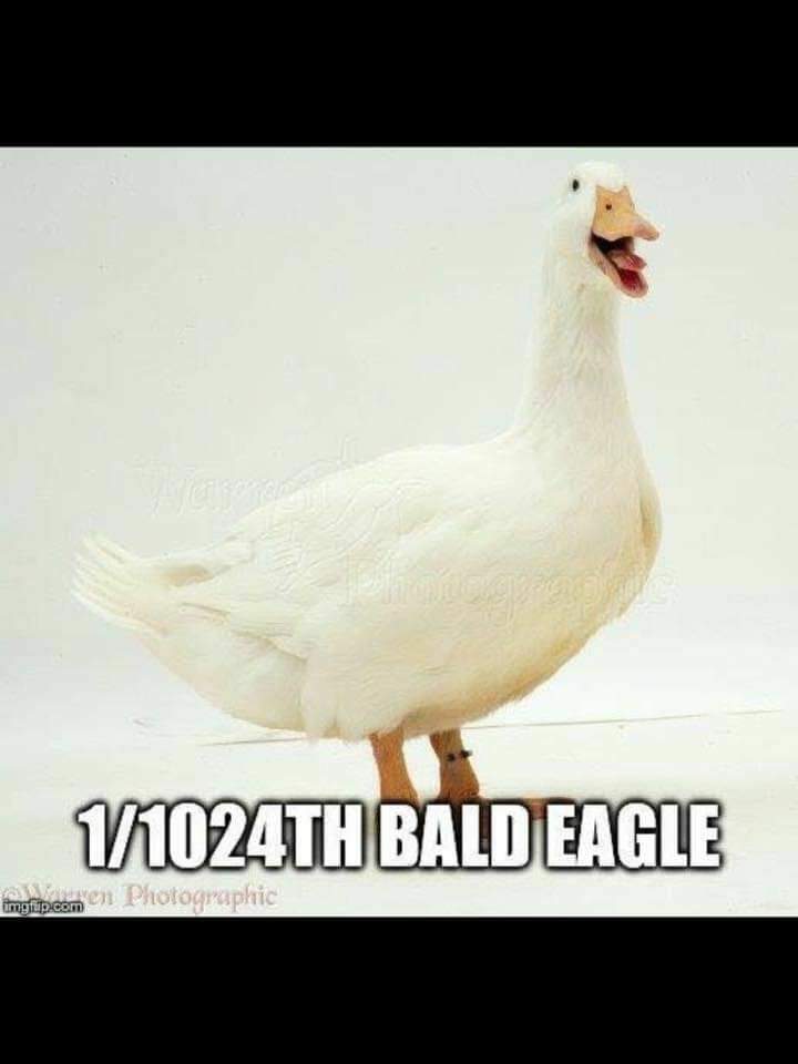 textranquilo's tweet image. 