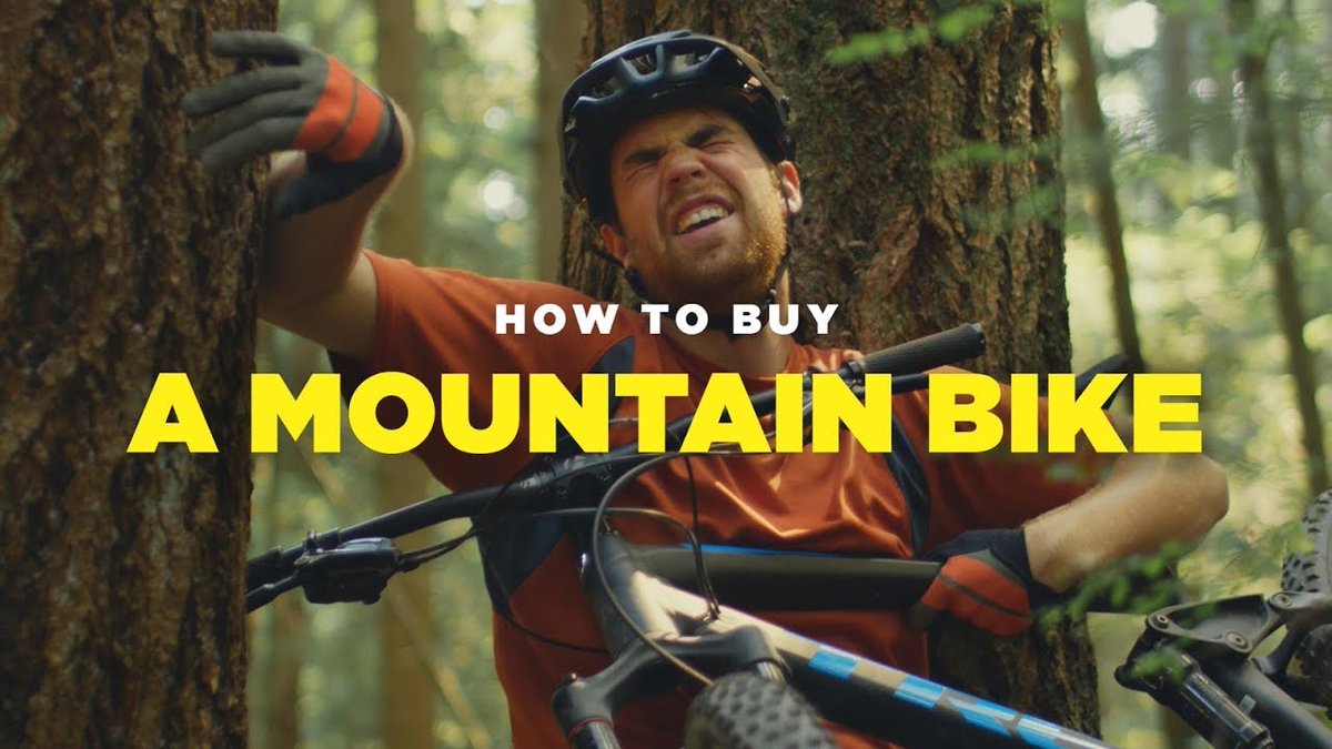 MTB-News.de tweet media