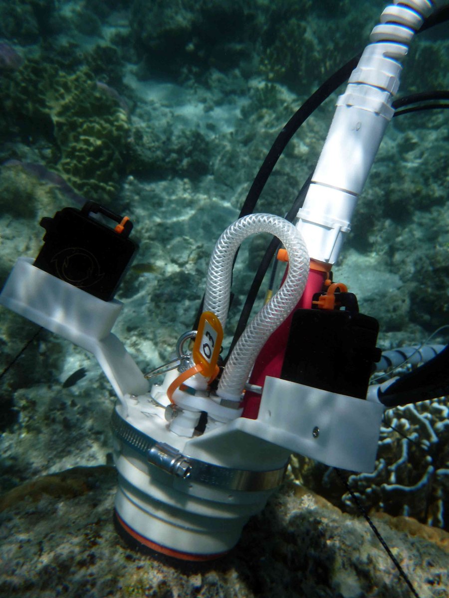 KenCaldeira's tweet photo. Here is what the #CISME instrument looks like, measuring changes in pH and oxygen caused by the geochemical fluxes associated with the algae growing on dead coral and possible dissolution of the coral matrix.
https://t.co/JLhOfFSl16 https://t.co/TCk0dw8EUC