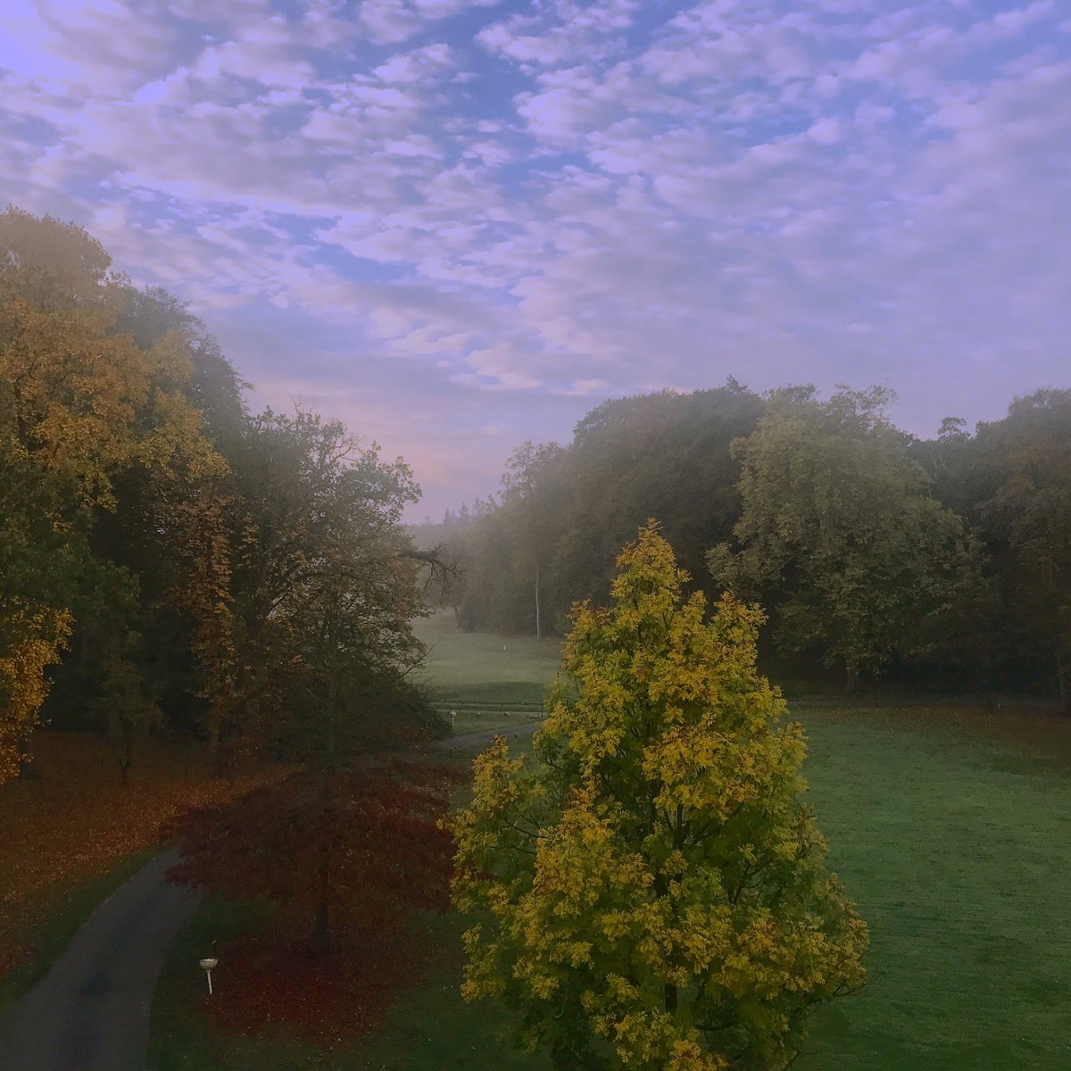 Goeiemoarn Friesland! Wat ben je mooi! Deze week weer naar Leeuwarden! Laatste shows van de #ademinademuittour in deze prachtige provincie! Ik heb er ontzettend veel zin in! :)