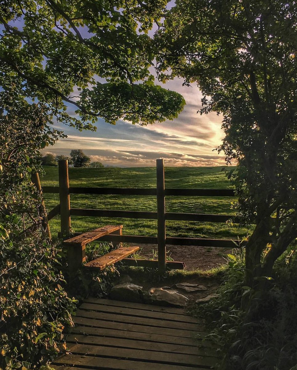 🌳 Golygfa hudol ger Rhaeadr Dyserth | Fairytale scene near Dyserth Waterfall 📸 image by instagram.com/majenta/ #FindYourEpic #DiscoverDenbighshire #NorthEastWales