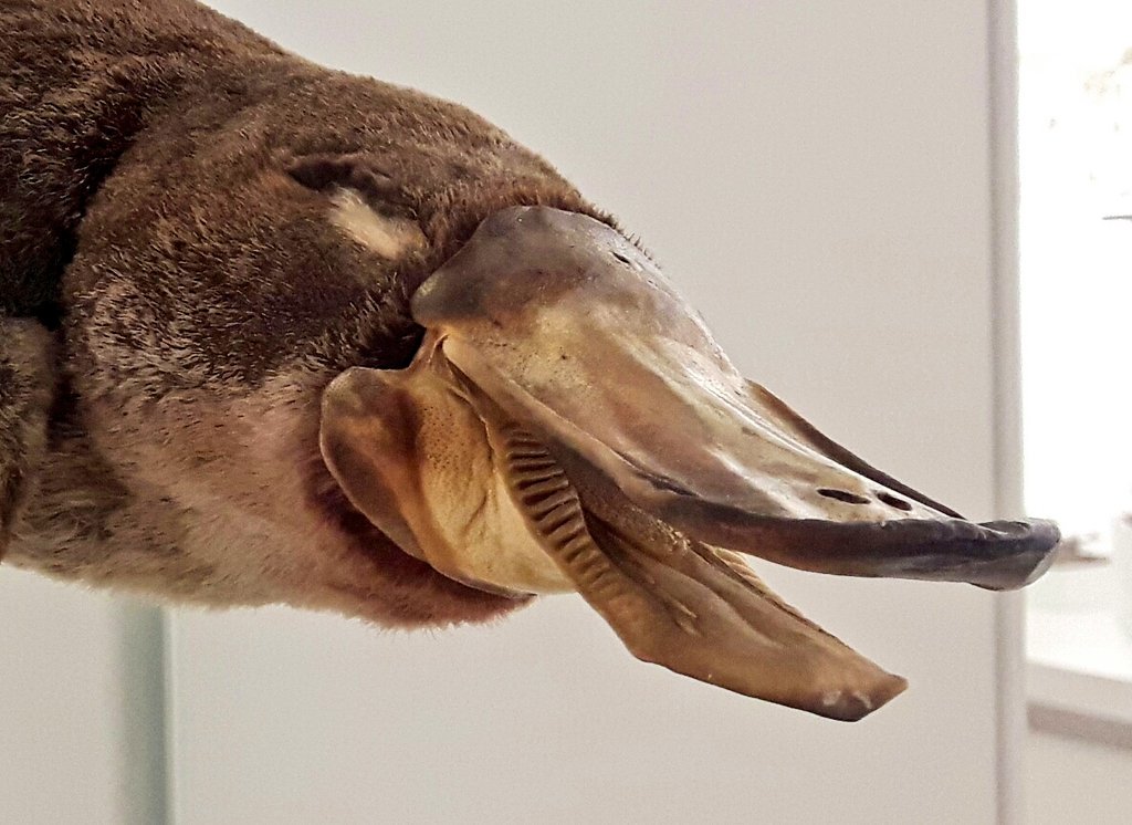 Jack Ashby tweet media