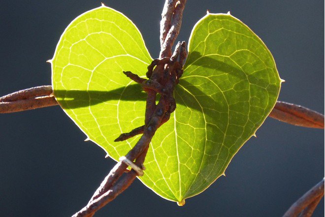 "Gott [hat] den Menschen mit seinen emotionalen Bedürfnissen und mit seiner Sexualität geschaffen und selbst festgestellt, dass dies gut ist."

Auch die KAB Schweiz unterstützt die Petition an den Papst gegen das Pflichzölibat. 

kab-schweiz.ch/de/gegen_das_p…

#Zölibat #Kirche #Papst