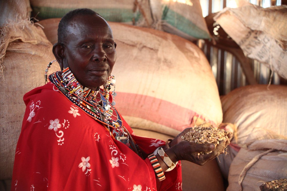 International Trade Centre (ITC) tweet media