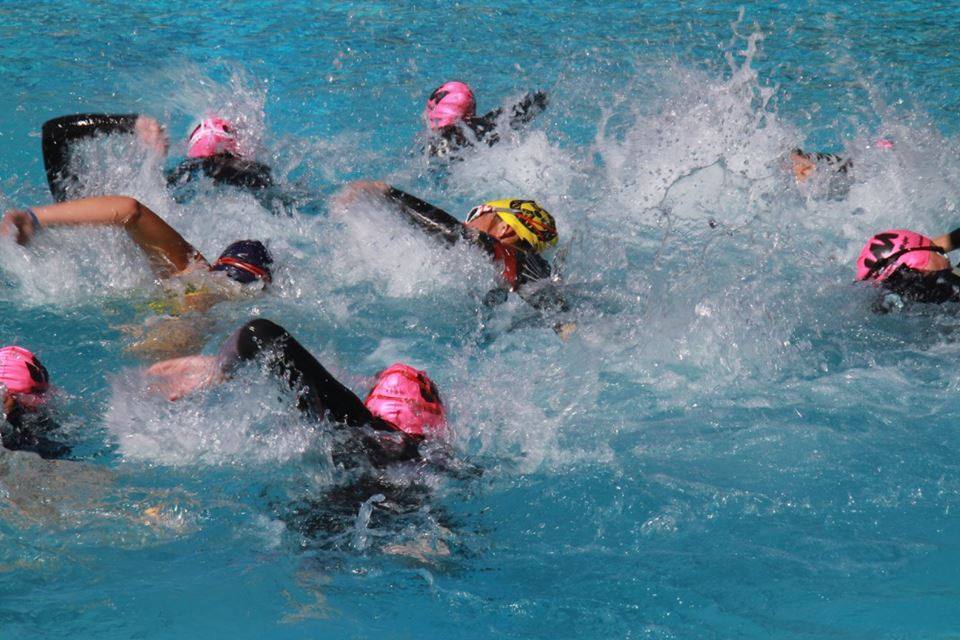 FMTriatlon tweet media