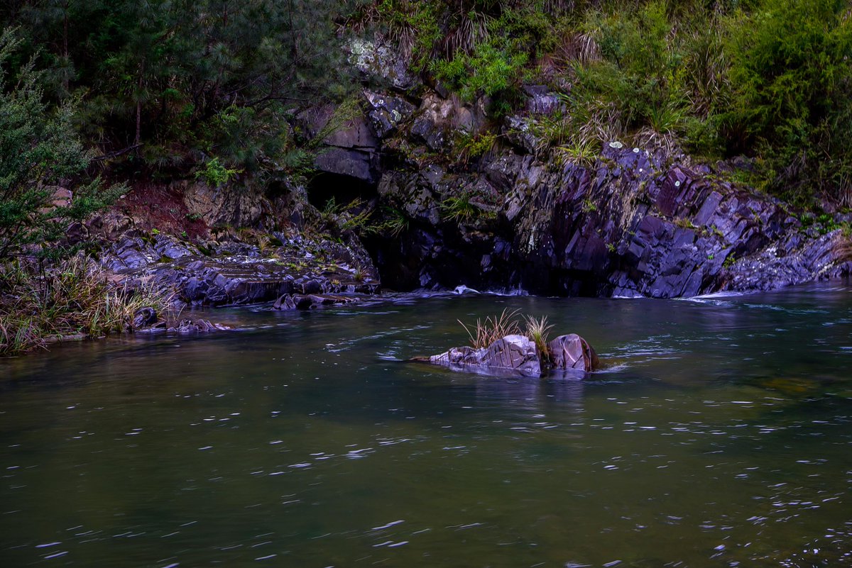 The Thomson River and the incredible colours of nature 
#fishway #thomsonriver #riverhealth #healthyrivers #connectingthethomson #horseshoebend