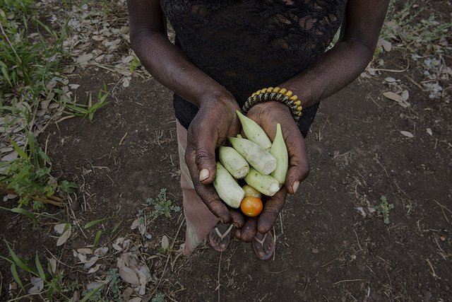 Las manos de un agricultor mozambiqueño sostienen algunos productos extraidos de la tierra (Foto: AECID - Miguel Lizana)