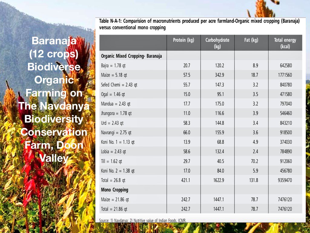 Pseudocereals Hashtag On Twitter - 