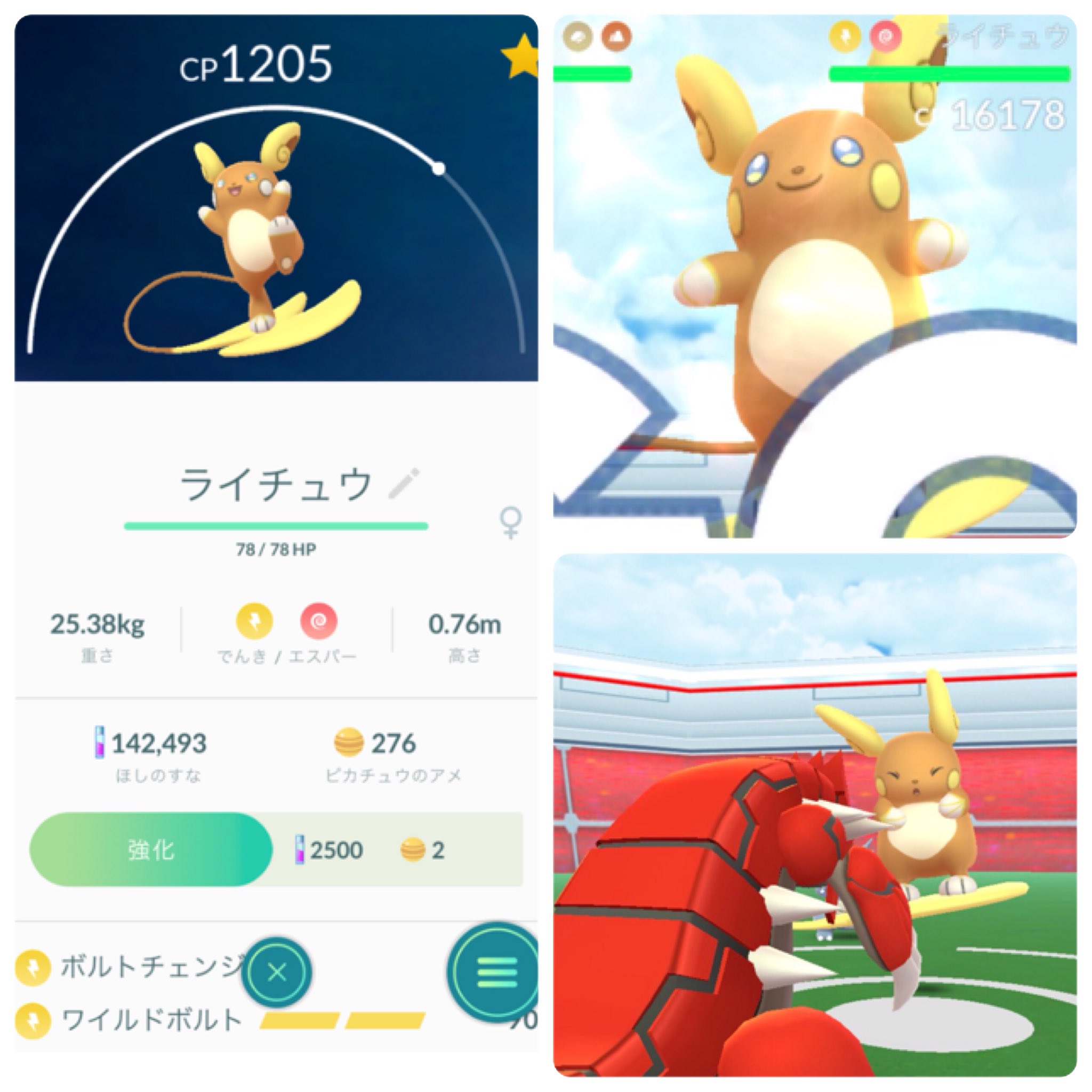 なみのりライチュウ Twitter Search Twitter