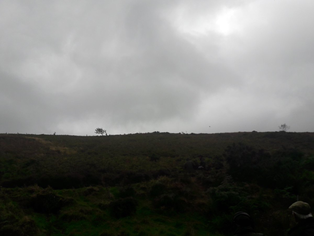 Lillycombe Sporting Club tweet media