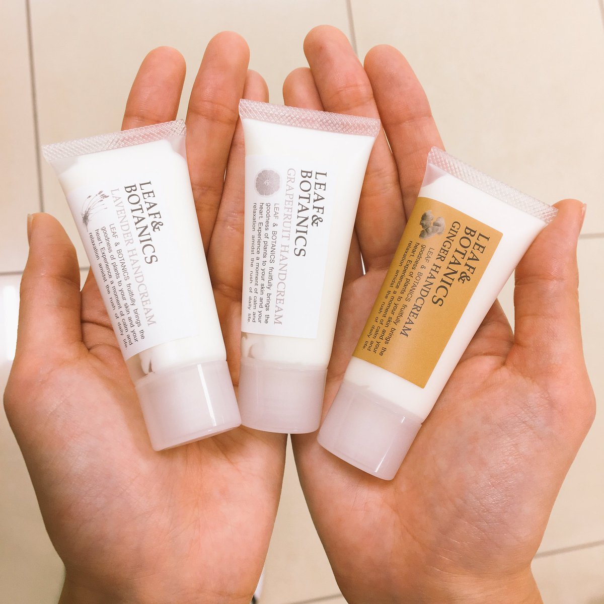 東急ハンズ広島店 Twitterissa ポーチにすっぽりなお手頃サイズ W カワイイデショ Leaf Botanics ハンドクリーム ラベンダー グレープフルーツ ジンジャー 各g 300円 税 プレゼントにも人気です 広島店3f担当 ハンドクリーム スキンケア 松山油脂 東急ハンズ広島店 Twitterissa ポーチにすっぽりなお手頃サイズ W カワイイデショ Leaf Botanics ハンドクリーム ラベンダー グレープフルーツ ジンジャー 各g 300円 税 プレゼントにも人気です 広島店3f担当 ハンドクリーム スキンケア 松山油脂