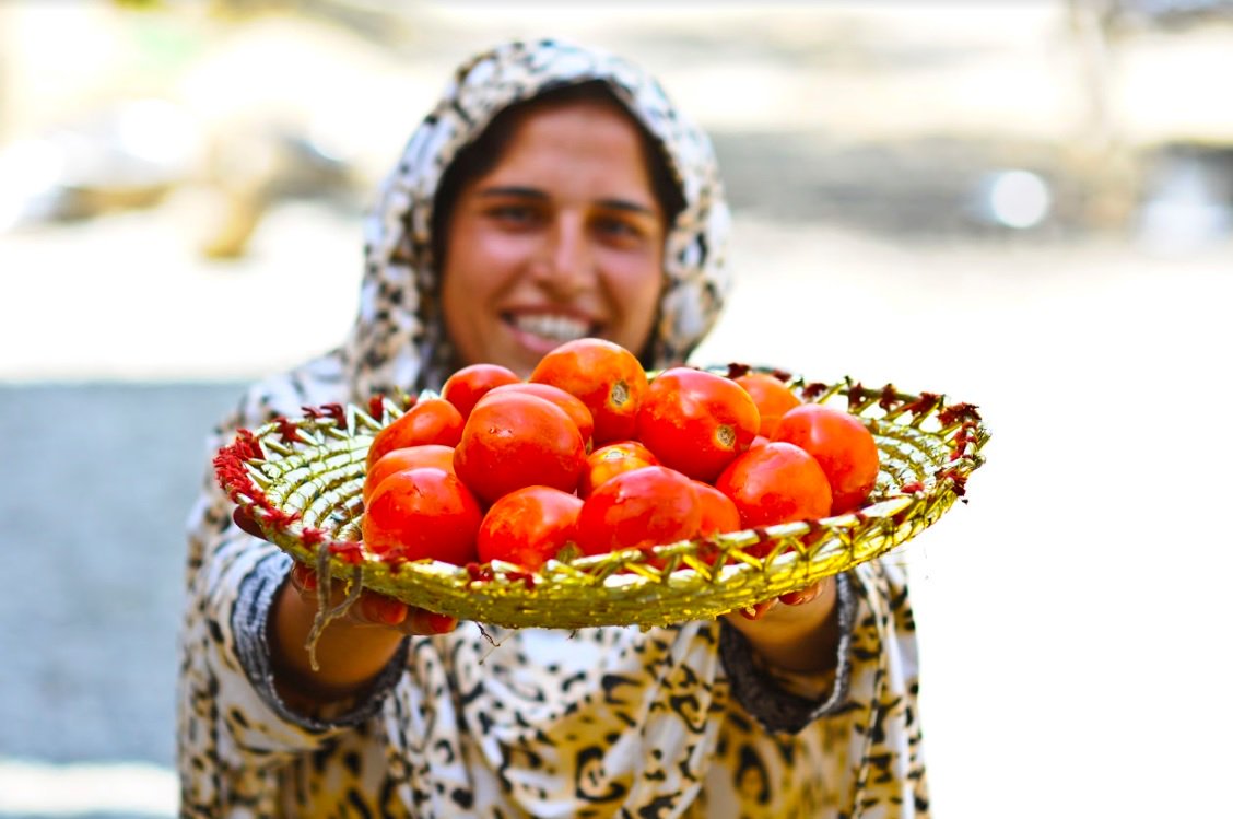 pnud's tweet photo. ¡Hoy es el #DíaMundialdelaAlimentación!
🍎🍋🥕🍞🌽🍅🥔🍉🍒🍇

Nuestras acciones son nuestro futuro. Contribuye al #HambreCero y haz del #NoDesperdicio una forma de vida. v @ONU_es @FAOenEspanol https://t.co/I4rJ4n4bzH