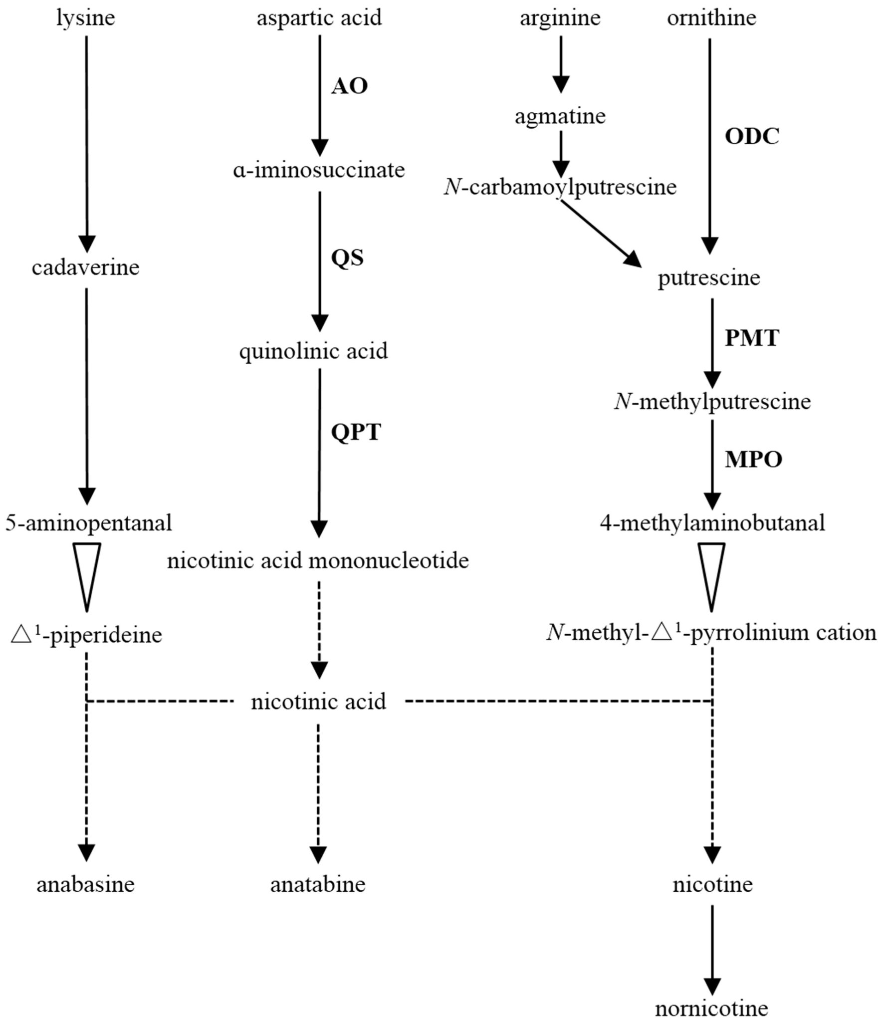 Biomolecules MDPI on Twitter "We have NEW publication in Biomol_MDPI