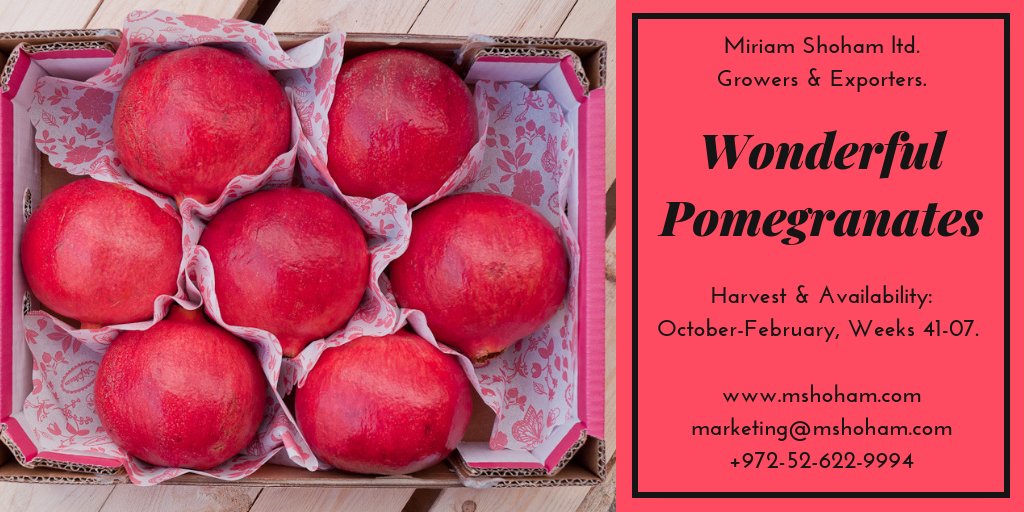 fruit_export's tweet photo. Miriam Shoham Pomegranates Wonderful growers and pomegranates exporters. 
Harvest &amp; Availability: October-February, Weeks 41-07. 
Available in all sizes, calibers, weight ranges, class specifications.
https://t.co/2bgGwRRcLd 
marketing@mshoham.com
+972-622-9994 https://t.co/5M0iGCeyi0