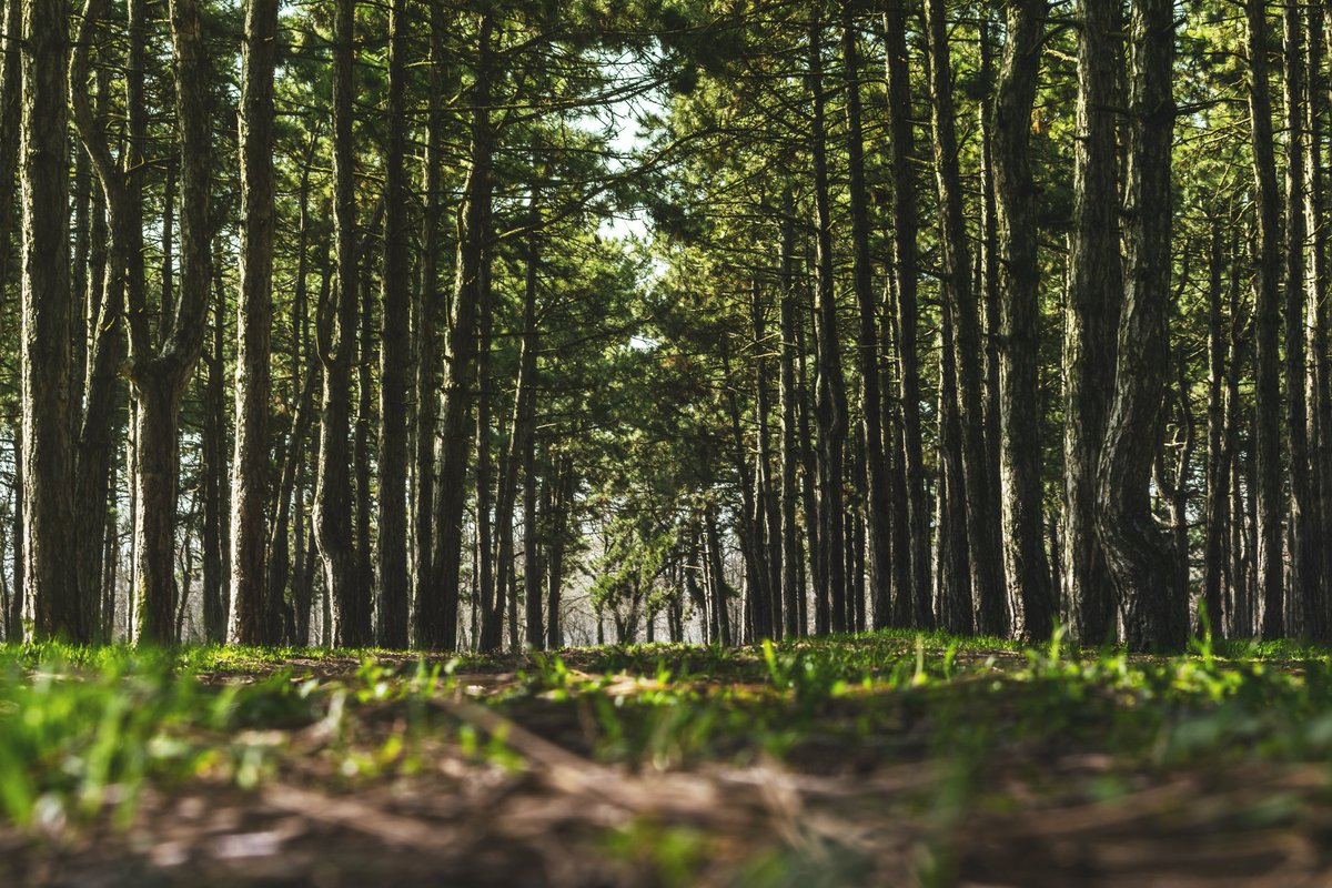 swaveafrica's tweet photo. Are you improving degraded landscapes through reforestation, sustainable forestry, climate-smart agriculture? @FledgeLLC is looking for you! Apply by 19th October for mentoring, business coaching and linkage to investors!
https://t.co/ooQ8GkmJNP

#funding #incubation #startups https://t.co/IBYYiGVNye