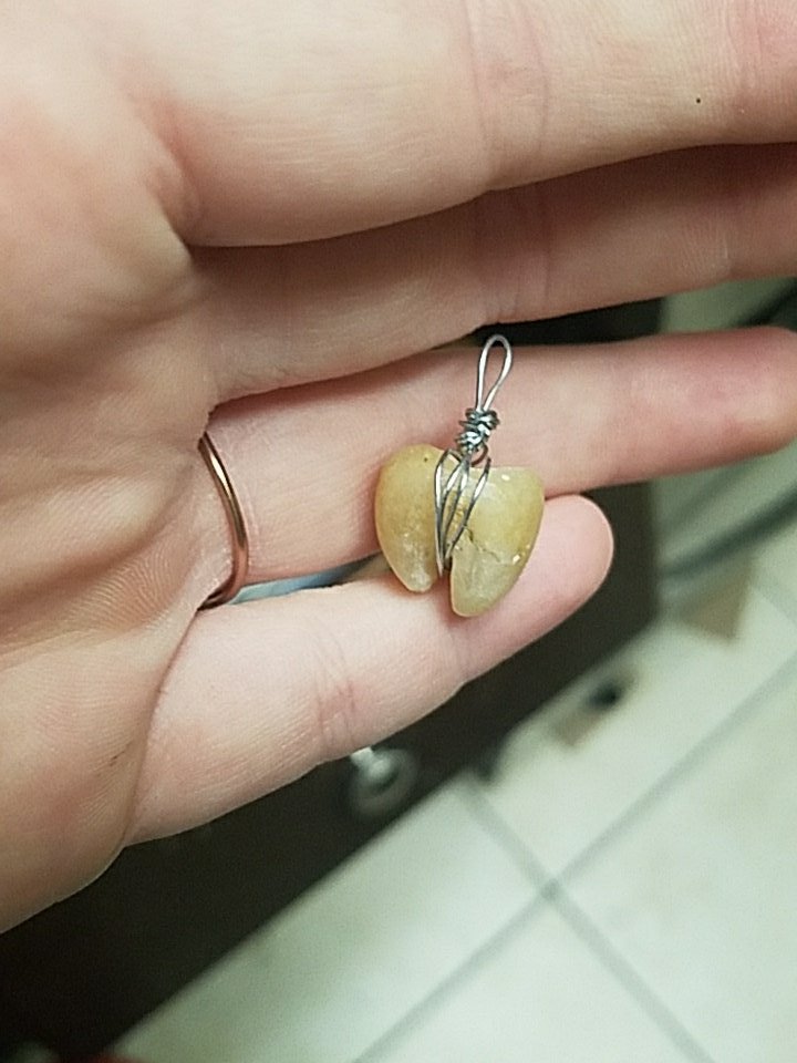 jellyjamers's tweet photo. Does this look like a tooth? https://t.co/fgWHYeqbEi