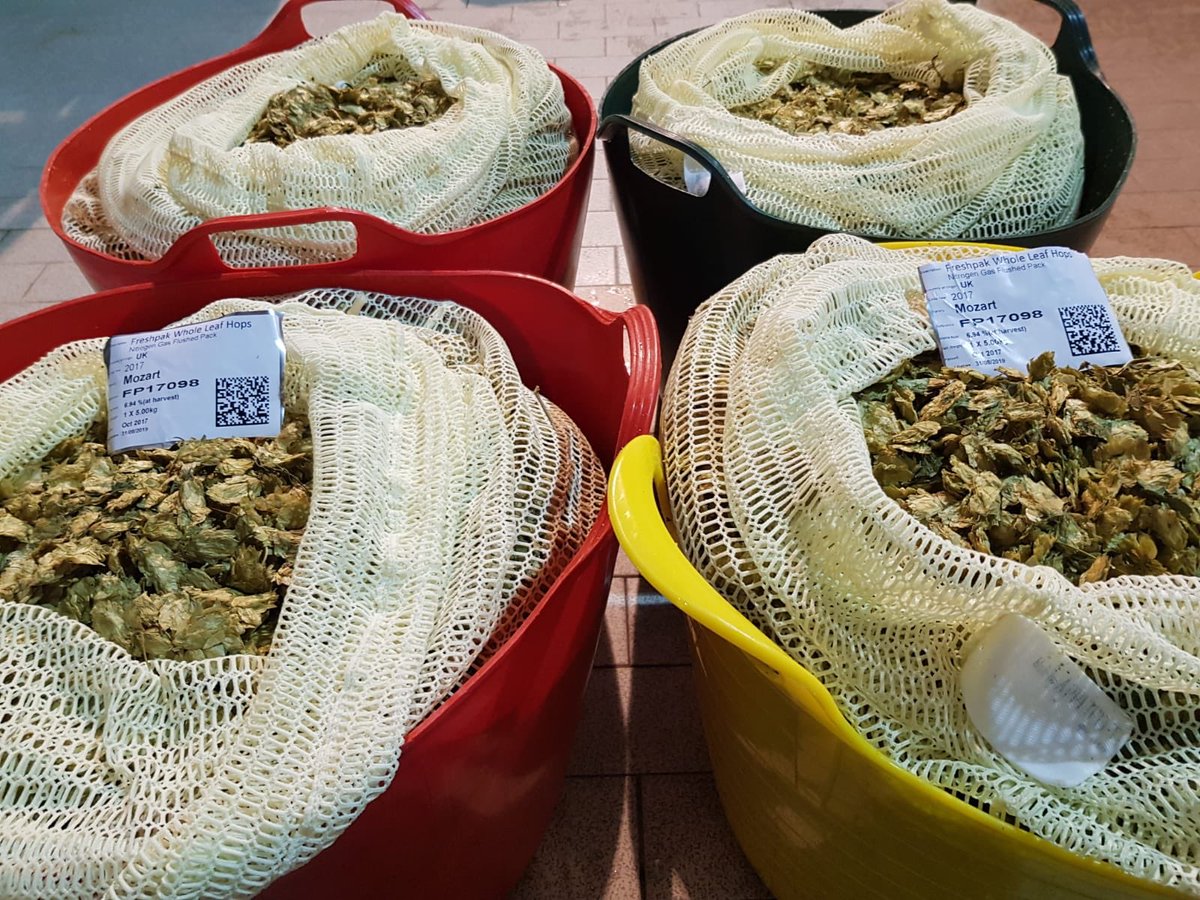 TattonBrewery's tweet photo. We’re using a brand new hop variety; Mozart UK in the next in our series of Session cask specials. Thanks to our friends @CharlesFaram 🇬🇧 https://t.co/jGrD4wa5LE