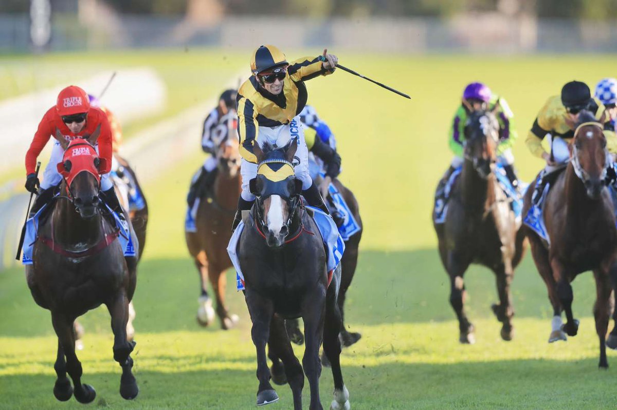 SecretariatsWld's tweet image. Congratulations to The Everst Cup Winner #Redzel #TheEverest champion his memorable victory in the #TheEverest Click here to Read More #Review - bit.ly/2CkHQUj @atc_races @racing_nsw  #horsracing 2nd #Trapezeartist