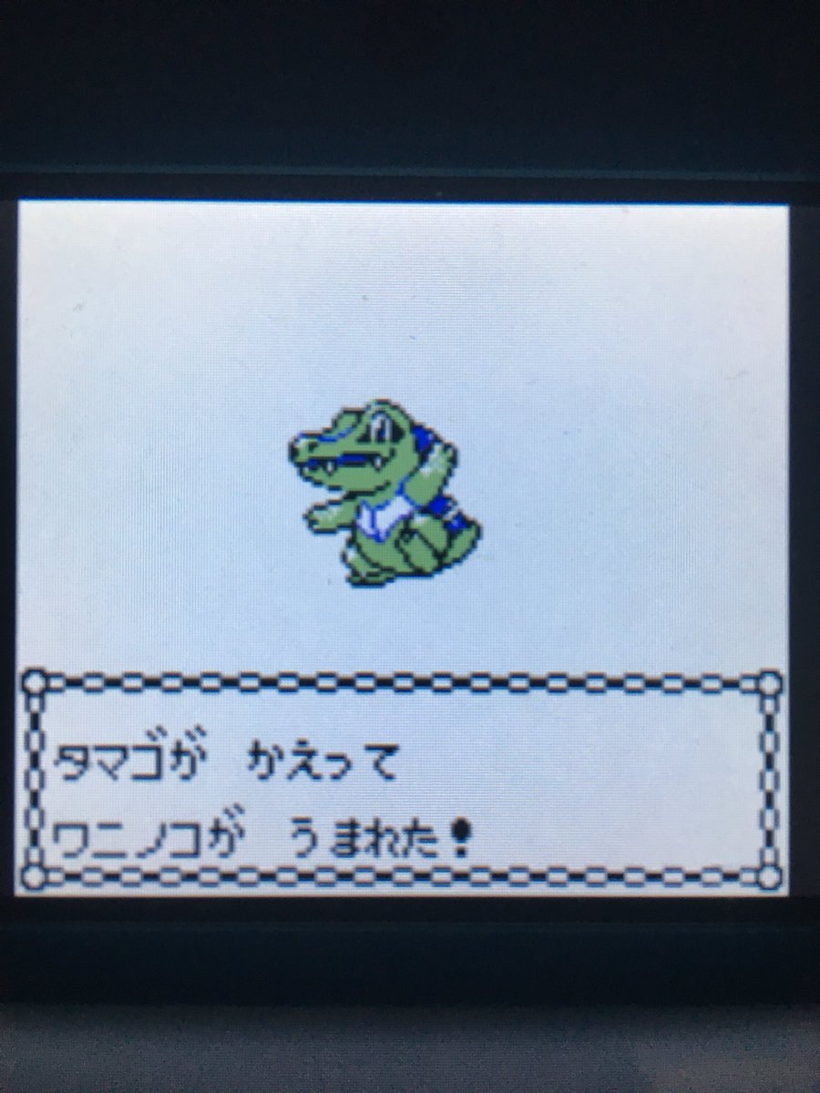 色違いポケモン紹介 Vc産ワニノコ 自由に生きてあそblog