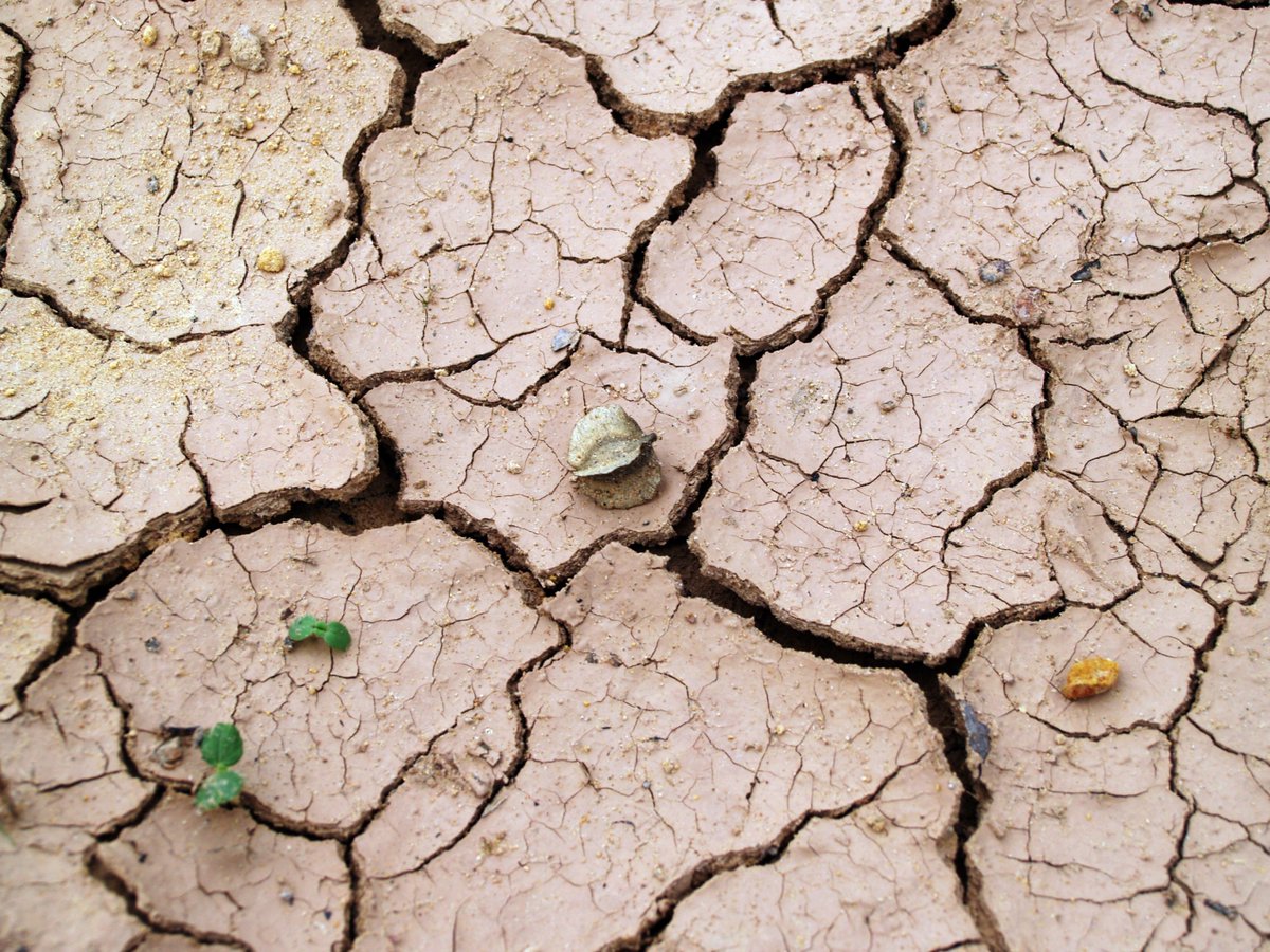 Interested about #drought ? Check this out - 5 facts on Drought - a news article by <a href="/UNUEHS/">UN University - EHS</a> #climatechange #desertification 
goo.gl/7uqkrC