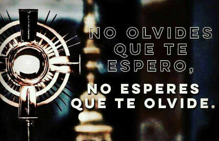 Este miércoles, 3o del mes, tendremos el habitual rato de #meditación ante Jesus-Eucaristía. Como siempre de 16.15 a 16.45 en la Capilla del #colegio #MaterDei #Castellón. #educaciónconvalores #escuelaconcertada #colegioconcertado #SomosMater #colegio 
...