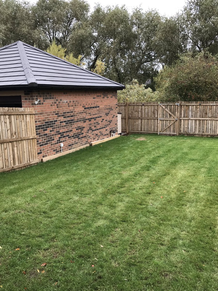 Spot the beagle 👀 #Beagle #beaglesoftwitter #henderson #hendo #hendersonsrelish