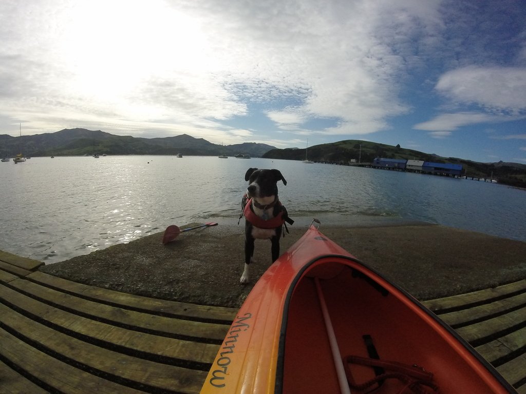 Cha C. had a #paddleboarding session in Akaroa, New Zealand. Pictures here: suptrotters.com/en/activities/… #suptrotters