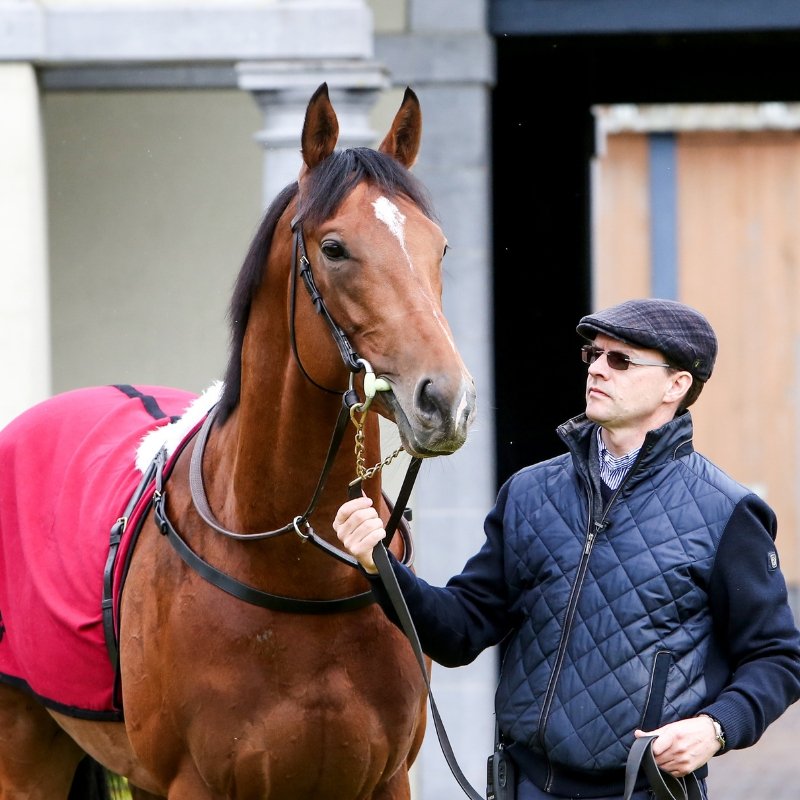 Happy Birthday Aidan O\Brien  