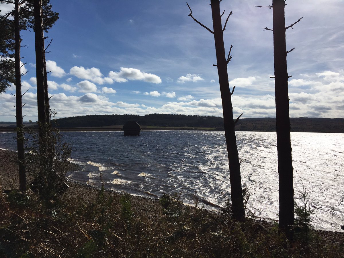 Kielder 14miles #walk1000 #Northumberland