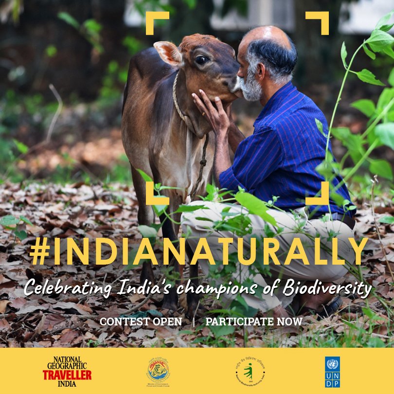 NGTIndia's tweet photo. Sponsored: We all love pets. Don't we? Domesticated species are the most popular photography subject. Why not share your love for these animals and participate in the #IndiaNaturally contest. Submit now! 
https://t.co/q8jz8bBxmq
@UNDP_India @moefcc @drharshvardhan @NGTIndia https://t.co/xeiuxSnZ6Z