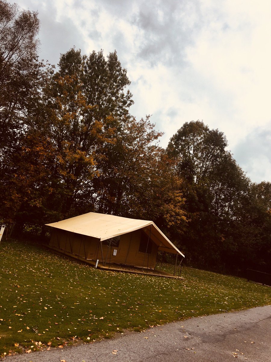 Joe Greenly tweet media