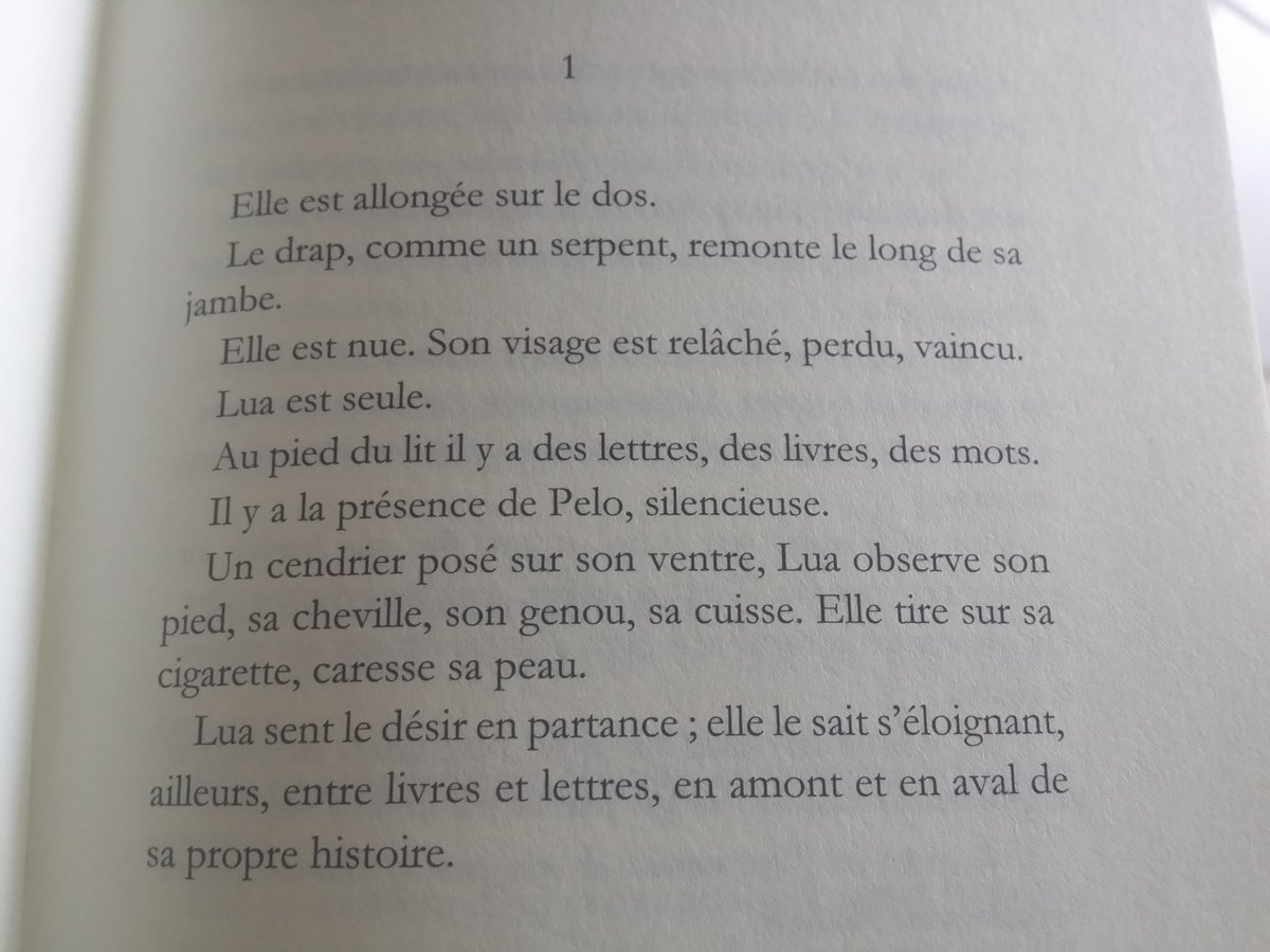 #rentréelitteraire #mediatheque #ghisonaccia #PeloetLua <a href="/musanostra/">Musanostra</a> @Pamela_relates   <a href="/librairiefrance/">🔯Librairie France✡</a> <a href="/IsulaProd/">Isula Prod</a> <a href="/Corsevent/">CorsEvent</a> #EditionsLesOrfèvres @FranceBleuRCFM    @https://www.facebook.com/events/1749871115134981/?ti=as