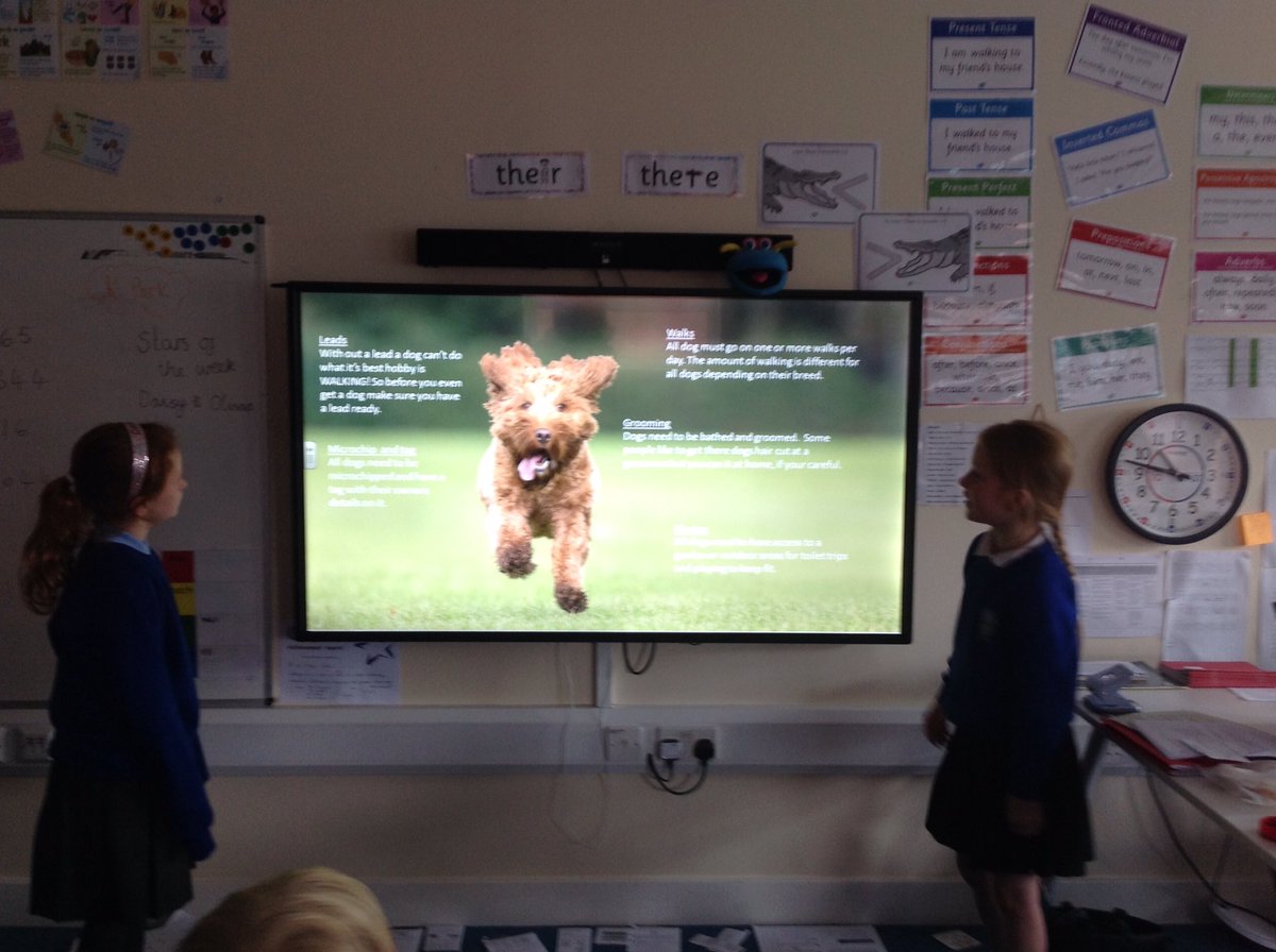 TarvinPrimary's tweet photo. Great assembly about your lovely dogs, Cleo and Poppy! Thank you girls. #Year4 #yourpets #passionate https://t.co/qd4y9Akddk
