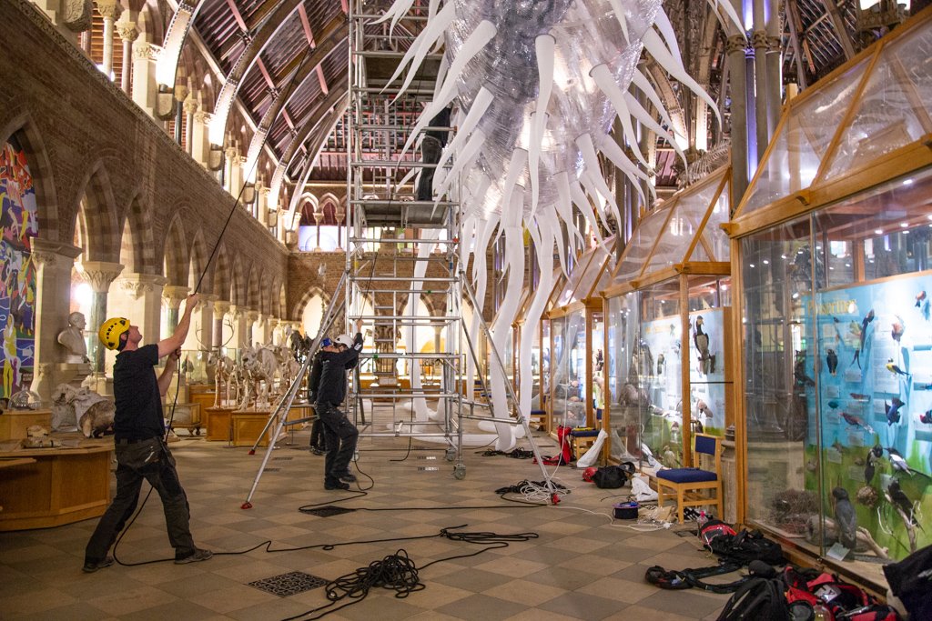 Oxford University Museum of Natural History tweet media